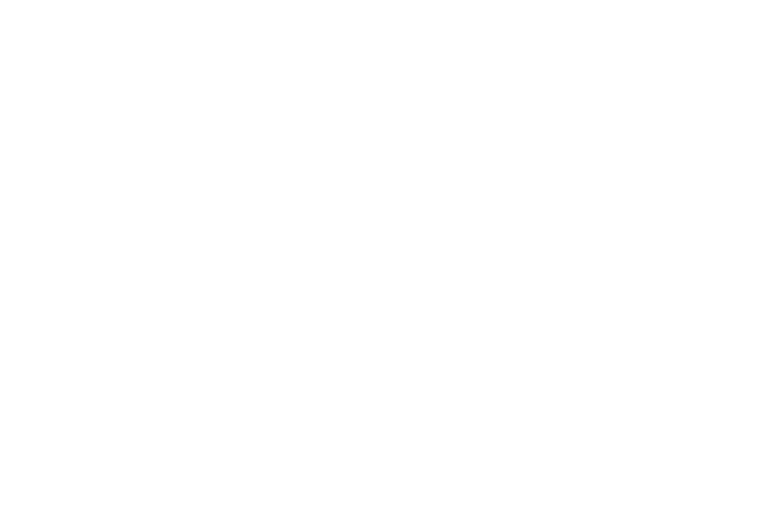 Donna Vincent Roa white logo